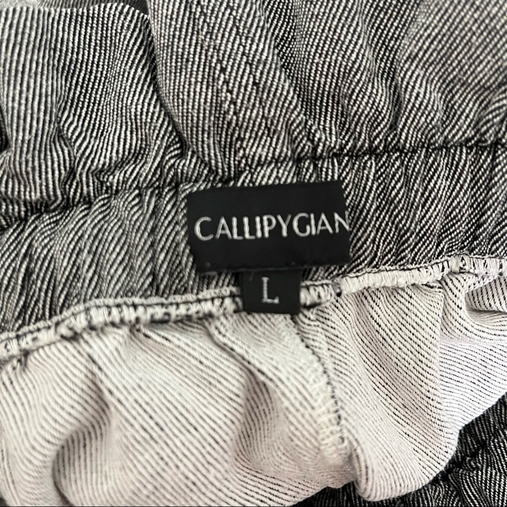 CALLIPYGIAN sz L Gray Paper Bag Shorts from Opening Ceremony Cotton - Picture 3 of 4